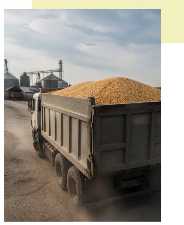 Перевозка сельхозпродукции навалом в Мыски по цене от 3043 р. | Агросервис-Мси
