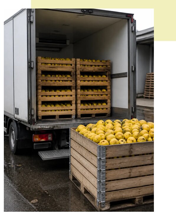 Перевозка айвы рефрижератором в Мыски по цене от 5072 р. | Агросервис-Мси